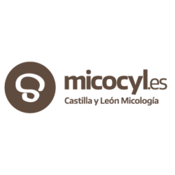 Micocyl