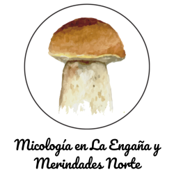 Micología Engaña y Merindades Norte