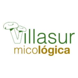 Villasur micológica