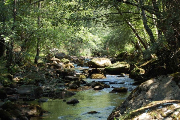 Cascada del Alto Engaña