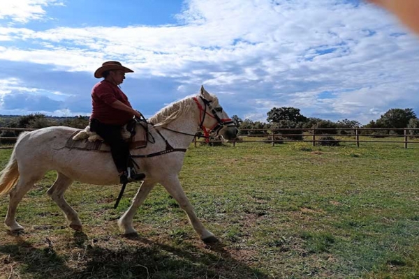 Caballos de Ailanes