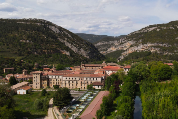 Los espacios naturales más espectaculares de la provincia de Burgos para celebrar la biodiversidad