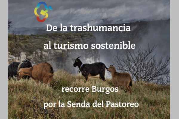 De la trashumancia al turismo sostenible: así se recorre Burgos por la Senda del Pastoreo