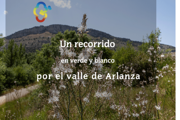 Un recorrido en verde y blanco por el valle de Arlanza