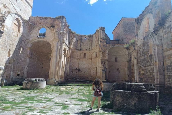 Monasterio de San Pedro de Arlanza