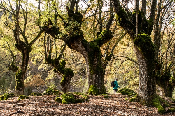 Senderismo Por Las Mamblas