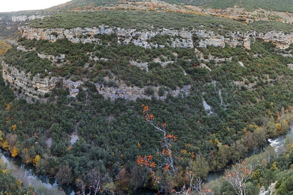 Cañones del Ebro