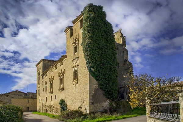 Palacio de Las Torres de Cadiñanos