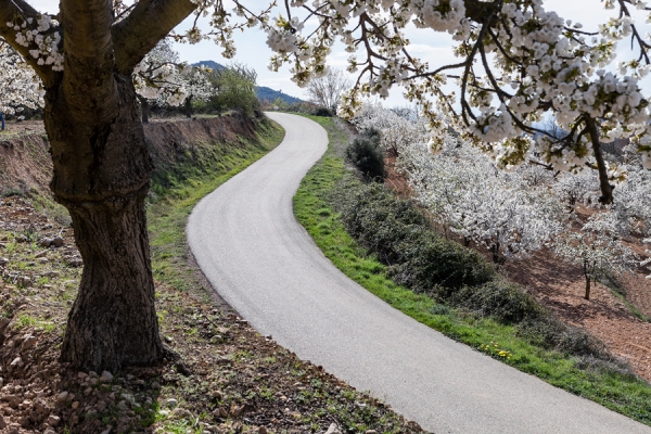 Ruta Un valle vestido de gala