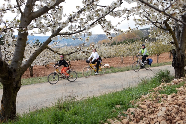 Ruta cicloturista por Las Caderechas
