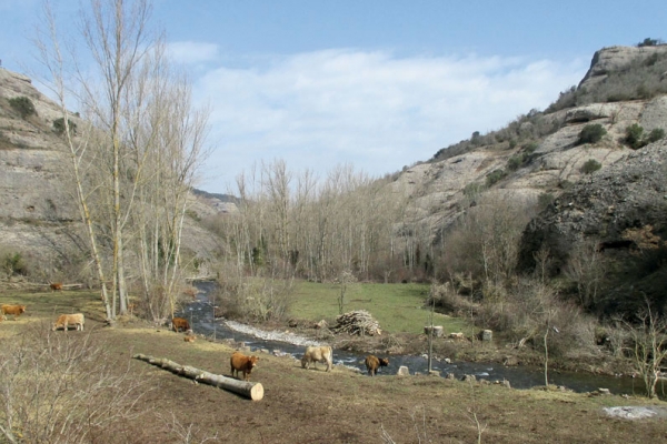 Desfiladero de Garganchón