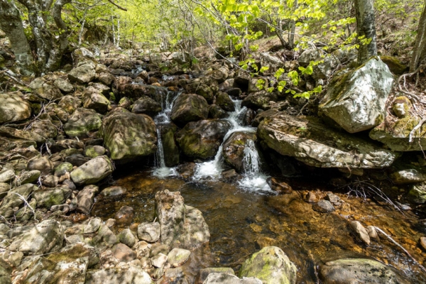 Ruta de la Ribera del Duero oriental