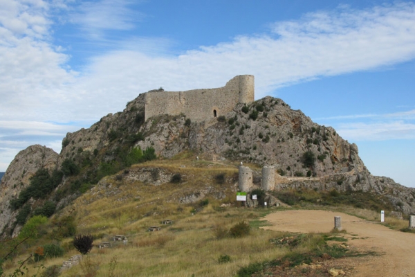 Castillo de Poza de la Sal o de los Rojas