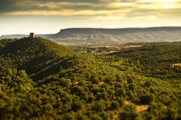 Castillo de Castrovido