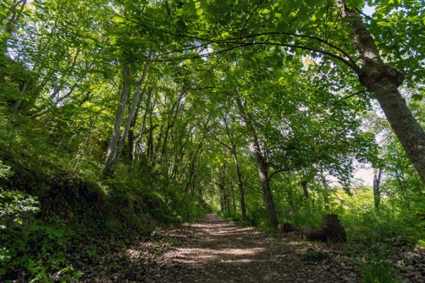 Ruta del norte de la Bureba