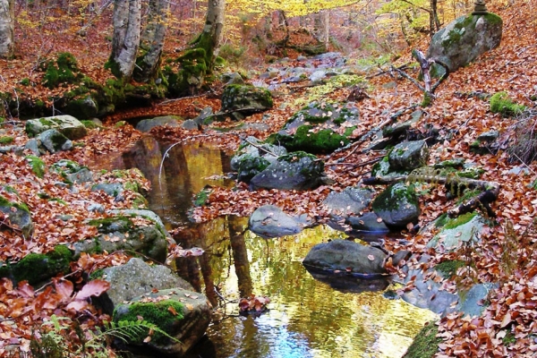 Ruta del río Pedroso y el Valle de Valdelaguna