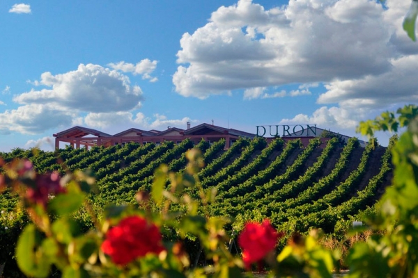 Bodegas Durón