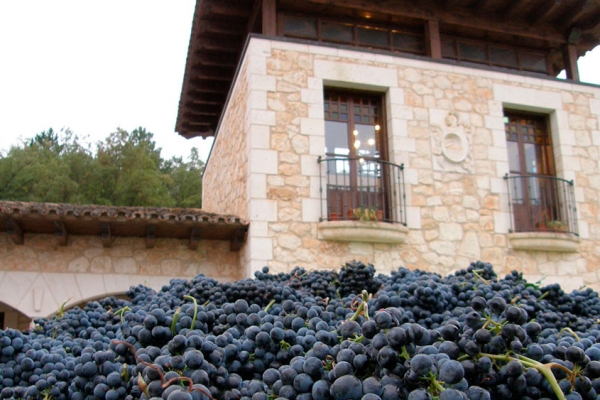 Bodegas Ismael Arroyo