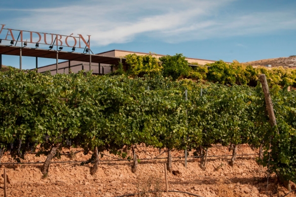 Bodegas Valdubón