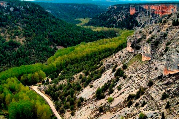 Área de autocaravanas Hontoria del Pinar-Cañón del Río Lobos