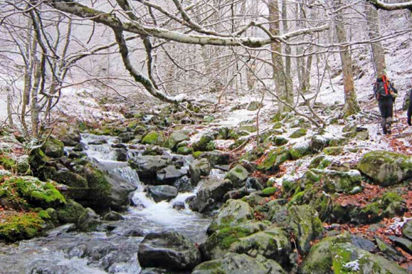 Cascadas de Altuzarra