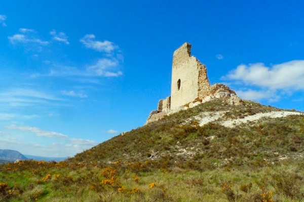 Castillo de Rojas