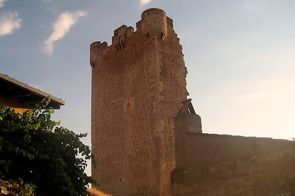 Torre de Hoyales de Roa