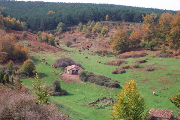 Dehesa de Puras de Villafranca