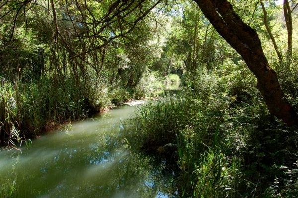 Fuentes del Brullés