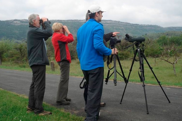 Molino del Canto Birding