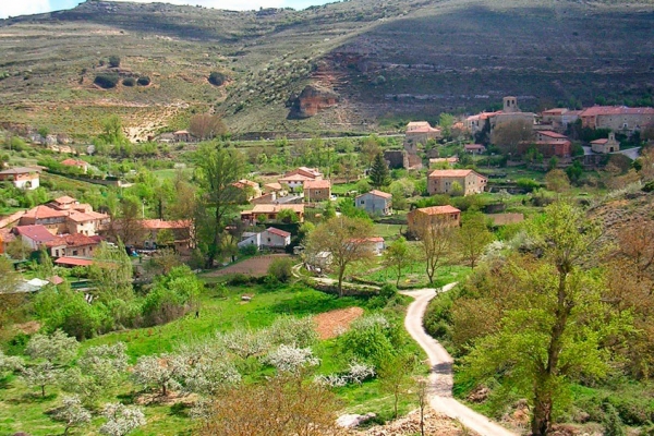 Pinares de Tubilla del Lago