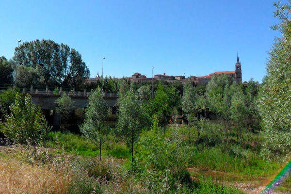 Ribera del Arlanza