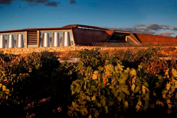 Ruta de viñedos y villas de la Ribera del Duero