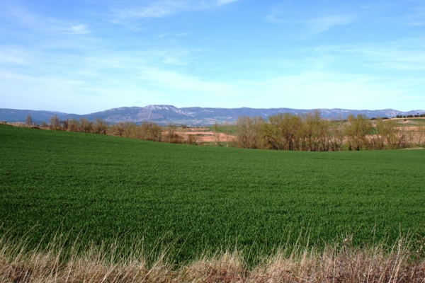 Ruta de la Bureba