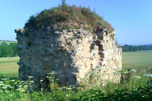 Ruinas de la Iglesia de San Félix de Villafranca Montes de Oca