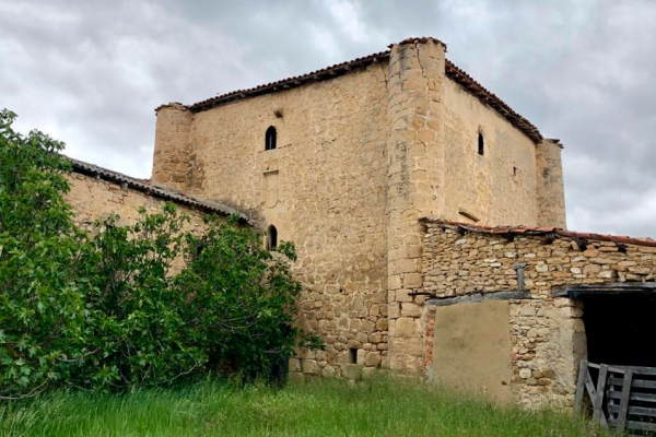 Torre – Palacio de Andino