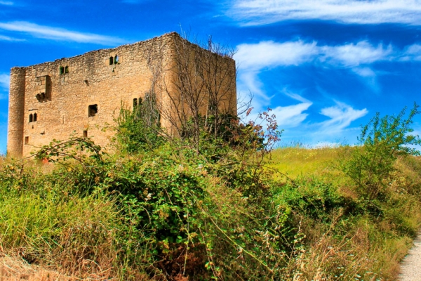 Castillo de Lomana