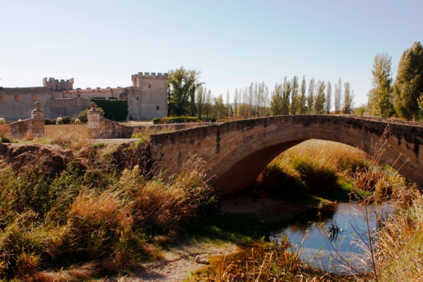 Castillo de Sotopalacios