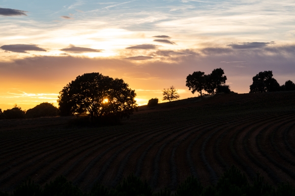 Senderismo por Caleruega
