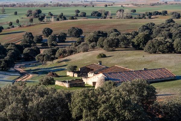 BTT loberas de Caleruega