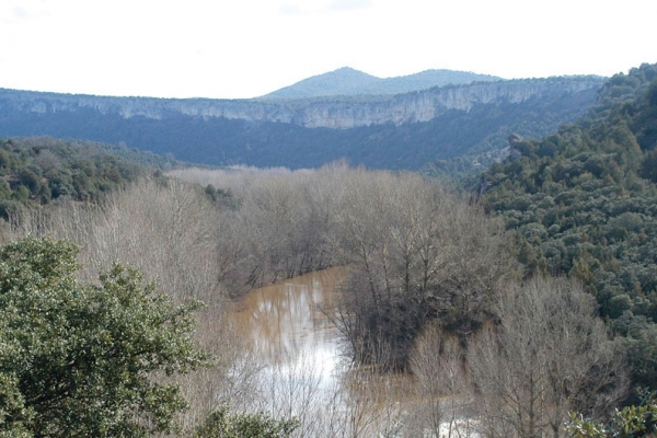 Sabinar del Arlanza