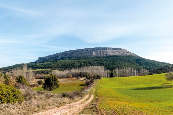 Sendero de Valdosa