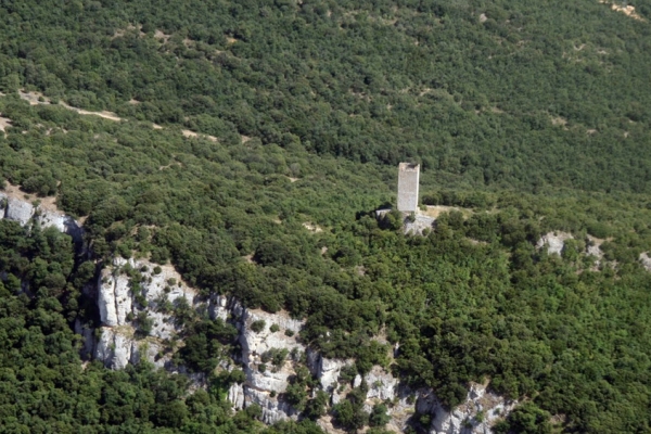 Torre-Castillo de Arganzón