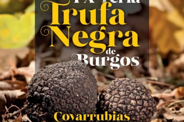 IX Feria de la Trufa Negra de Burgos